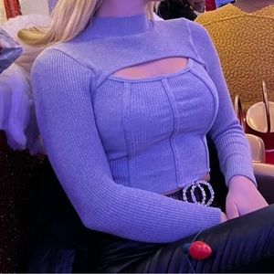 Fashion Nova Long Sleeve Crop Top